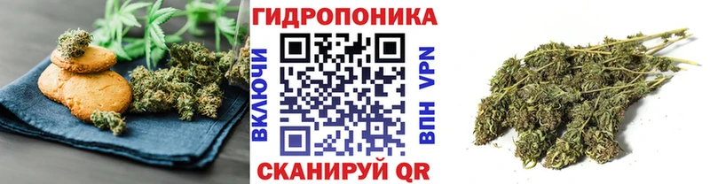Canna-Cookies марихуана  купить закладку  Валдай 