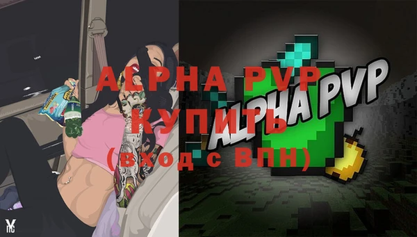 стафф Богородск