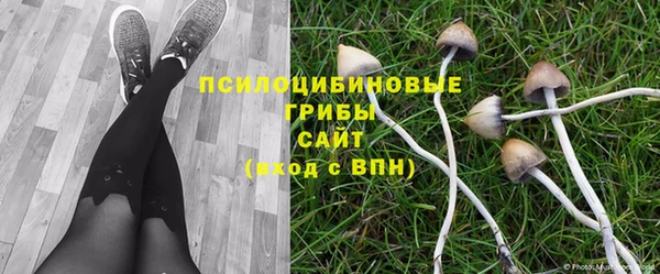 кокаин колумбия Белокуриха