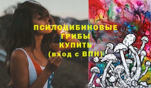 apvp Богородицк