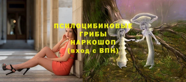 тгк Богданович