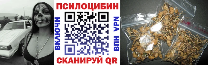цены   Валдай  Псилоцибиновые грибы Magic Shrooms 