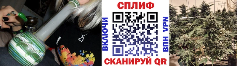 блэк спрут онион Валдай Бошки Шишки Bruce Banner